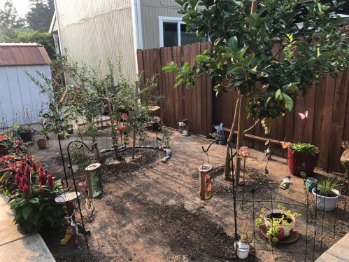 601 Princeton Ct, Vacaville CA  95687-6269 exterior