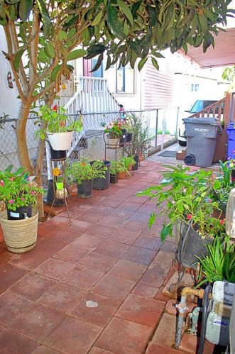 1837 Cindy St, San Diego CA  92154-1135 exterior