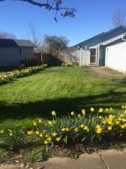 2766 43rd Ave, Albany, OR 97322-6311