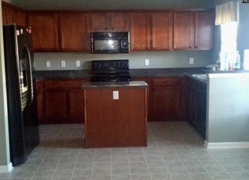 409 Richmond Farm Ct, Lexington SC  29072-7198 exterior