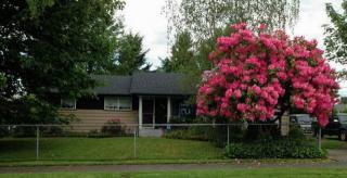 243 62nd St, Tacoma, WA 98404-1227