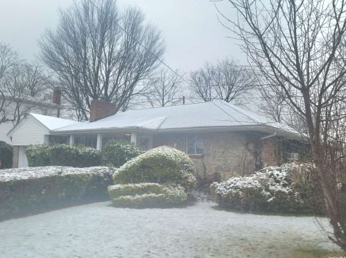 501 5th Ave, New Hyde Park, NY 11040-5448