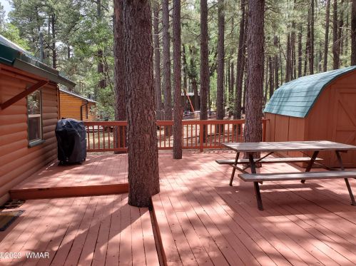 123 Sky Hi Dr, Pinetop AZ  85935-8802 exterior