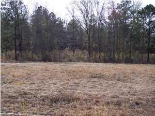 351 Sassafras Ct, Walterboro, SC 29488-6068