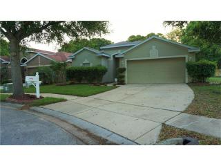 705 Parsons Pointe St, Seffner, FL 33584-7804