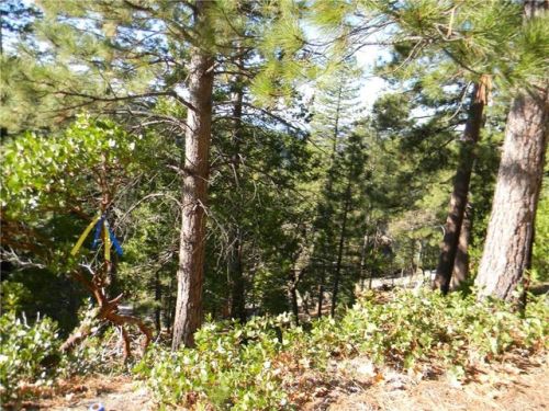 7487 Yosemite Park Way, Wawona, CA 95389-9101