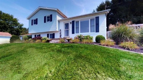 98 Dogwood Ridge Rd, Brady, PA 17752-8811