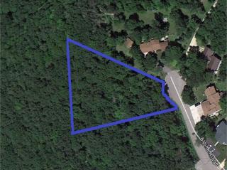 107 Alpine Rdg, Dumfries, MN 55981-1356