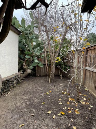 675 Simpson St, Santa Rosa CA  95401-5303 exterior