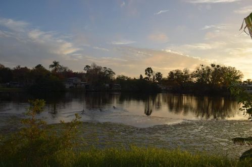 4520 Trouble Creek Rd, New Port Richey FL 34652-4824 exterior