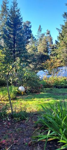 43400 Iversen Rd, The Sea Ranch CA  95445-7582 exterior