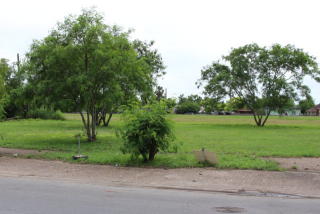 106 Fronton St, Brownsville, TX 78520-5504