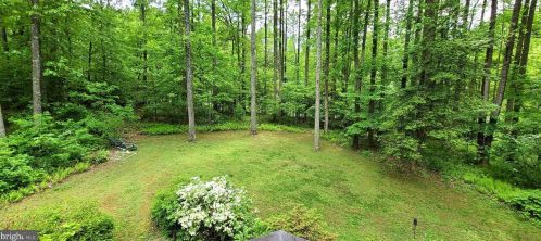 11503 Drop Forge Ln, Herndon, VA 20191-3903