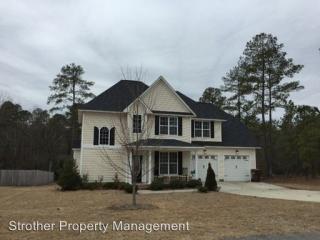 580 Spring Flowers Dr, Cameron NC  28326-6371 exterior