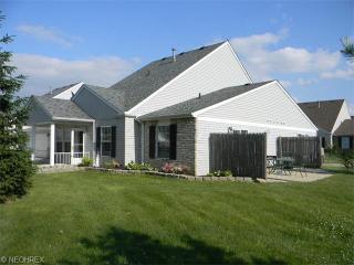 706 Creek Dr, Concord Township, OH 44077-7709