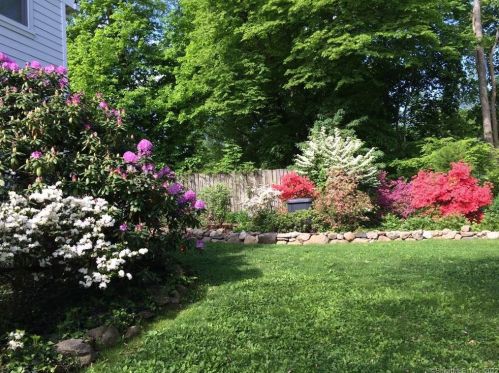 71 Elm Pl, New Canaan CT  06840-6308 exterior