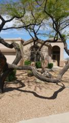 5958 Twisted Acacia Way, Apache Junction AZ  85118-4826 exterior