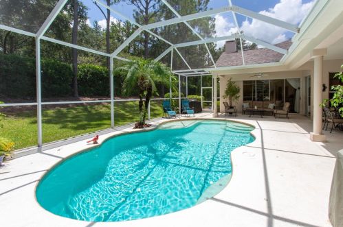 4477 Lavender Dr, Palm Harbor, FL 34685-3676