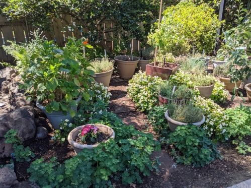 1087 Via Verona Dr, Chico CA  95973-1030 exterior