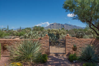 8566 Coral Ridge Loop, Tucson, AZ 85704-0915