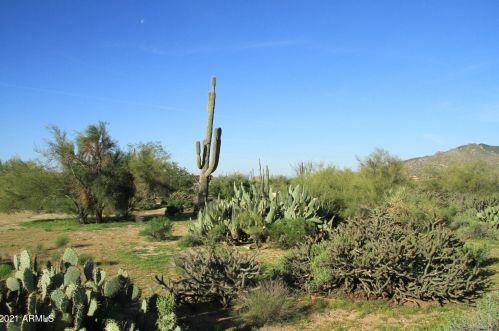 8598 Tecolote Cir, Scottsdale, AZ 85266-1083