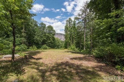 378 Montreat Dr, Glenville, NC 28736-7706