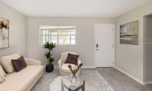 230 Douglas Rd, Oldsmar, FL 34677-2912