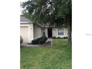 16933 Corner Bay Ct, Orlando, FL 32820-1936