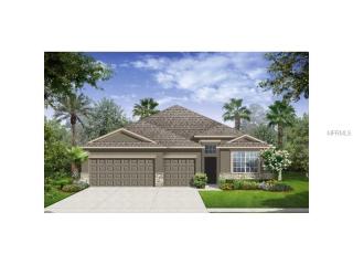 10053 Celtic Ash Dr, Ruskin, FL 33573-6730