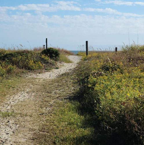 6 44th Ave, Isle Of Palms SC  29451-2605 exterior
