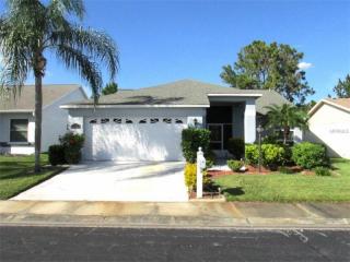 11108 Villas On The Green Dr, Riverview, FL 33579-7119