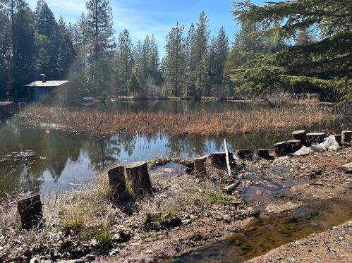 24645 State Highway 88, Pioneer, CA