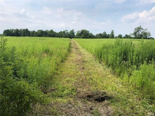 953 Sherman Rd, Virgil, NY 13045-8607
