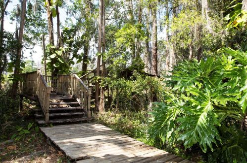 5729 Sweet Cherry Ln, Land O Lakes FL  34639-3447 exterior