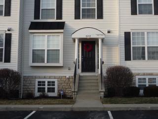 8232 Sugar Magnolia Dr, Blacklick OH  43004-8282 exterior