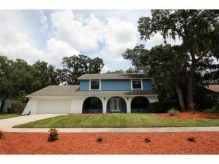 3912 Applegate Cir, Brandon, FL 33511-7976