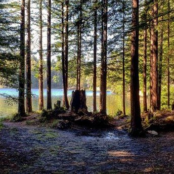 10680 Vera Ave, Felton CA  95018-8936 exterior