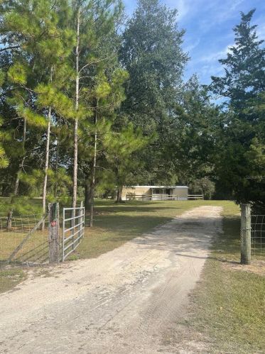 3100 20th St, Bell, FL 32619-3102