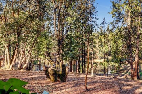 13943 Greenhorn Rd, Grass Valley CA  95945-8484 exterior