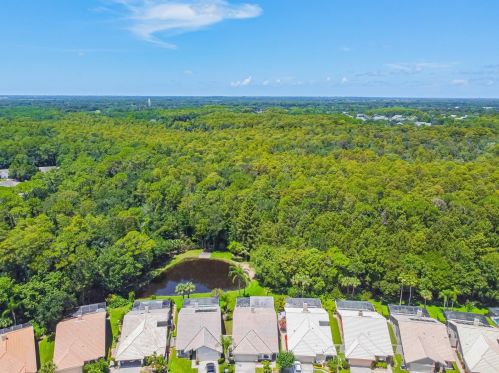 3664 Darston St, Palm Harbor FL  34685-1182 exterior