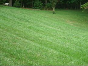 454 Woodway Dr, Blountville, TN 37617-5558