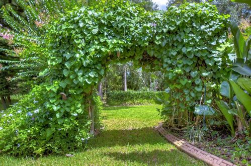 7618 Kickliter Ln, Land O Lakes, FL 34637-7484