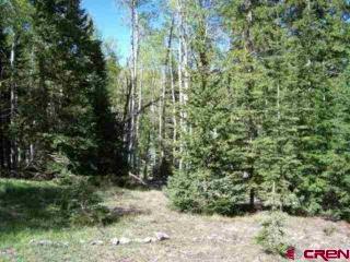 402 Hazel Lake Dr, Cimarron, CO 81220