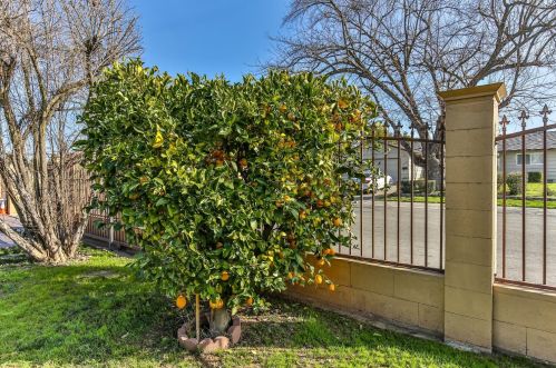 10333 Dolecetto Dr, Rancho Cordova CA  95670-3507 exterior