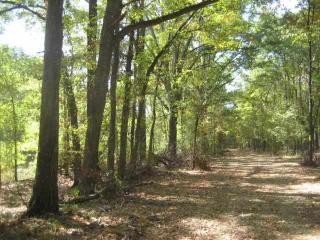 1417 Prairie Rd, Monroe, LA 71202-7627