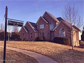 14014 Rolling Springs Ct, Louisville, KY 40245-7470