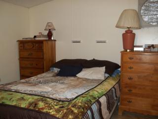 3100 Sherry Ave, Pahrump, NV 89060-4901