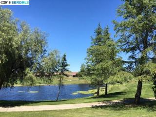 1135 Jonagold Way, Los Angeles, CA 94513-6995
