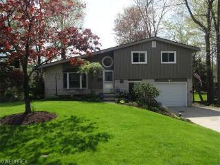 9586 Greenway Dr, Twinsburg, OH 44087-1530