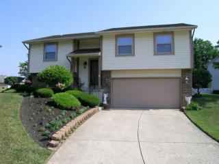 385 Alkaline Springs Rd, Vandalia OH  45377-2635 exterior